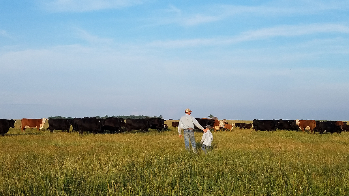 Father & Son in the pasture