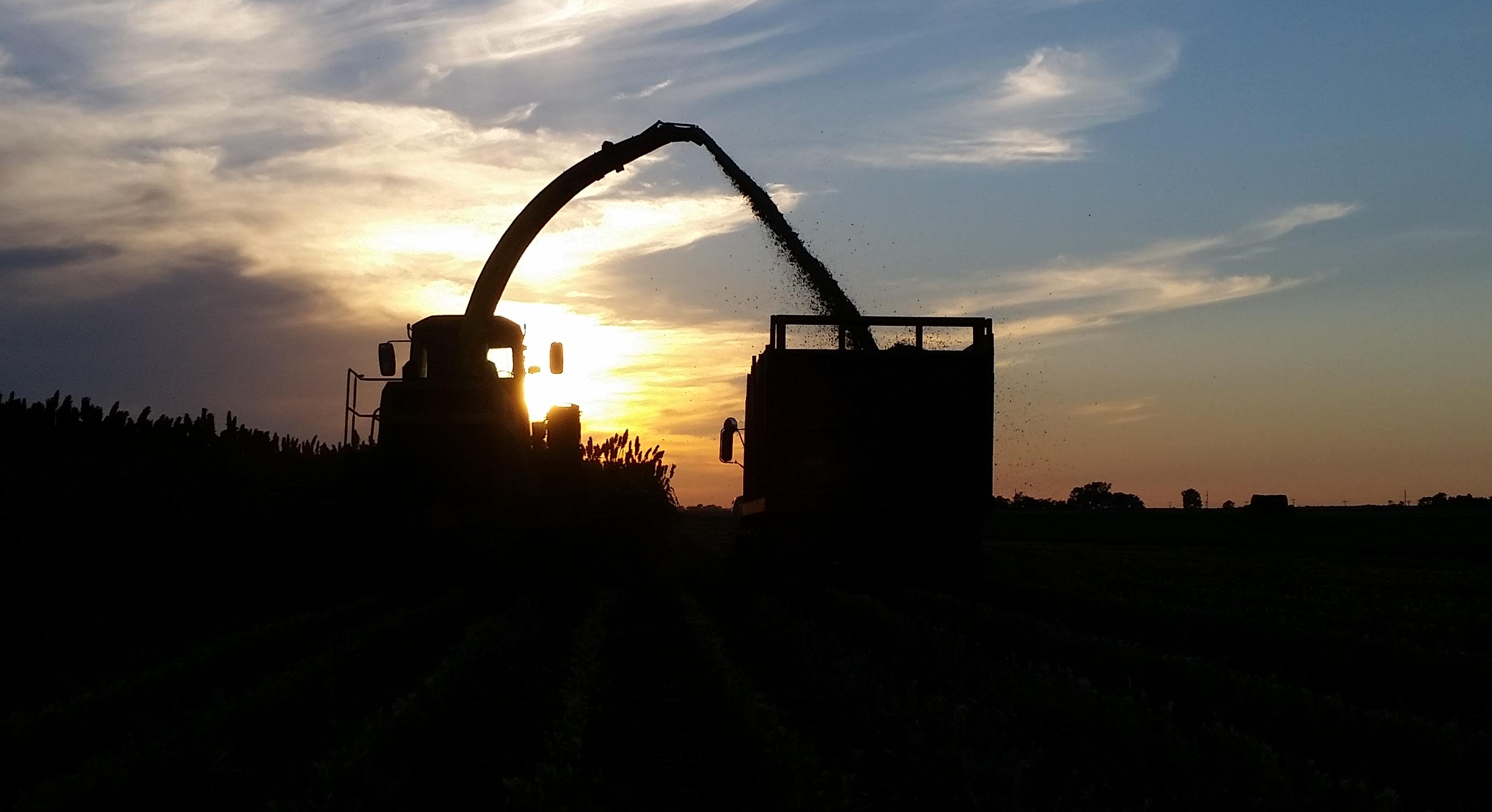 Silage Chopper